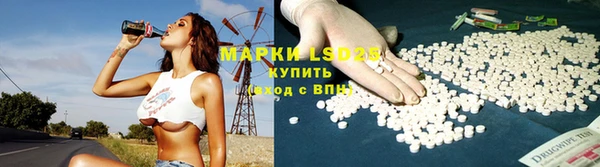 PSILOCYBIN Ладушкин