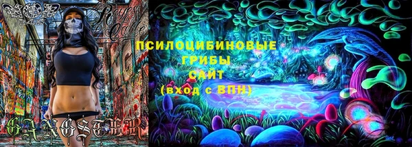 гидра Кукмор